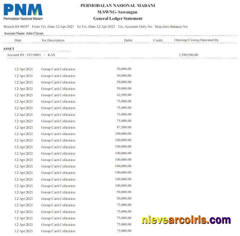 Indonesia Permodalan Nasional Madani bank statement Word and PDF scr